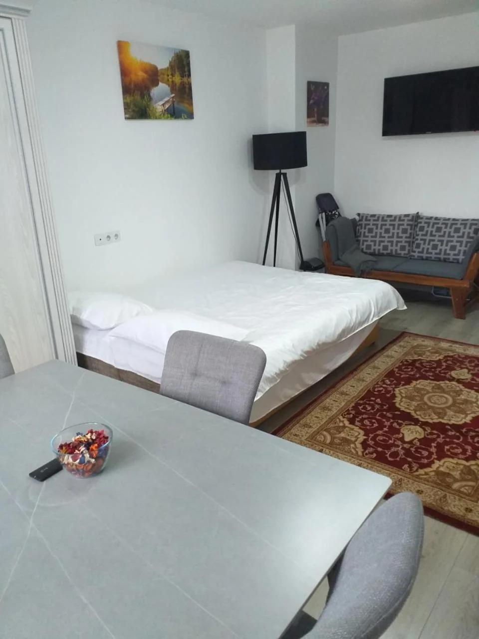Fully Furnished Studio photo
