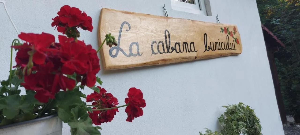 La cabana bunicului photo