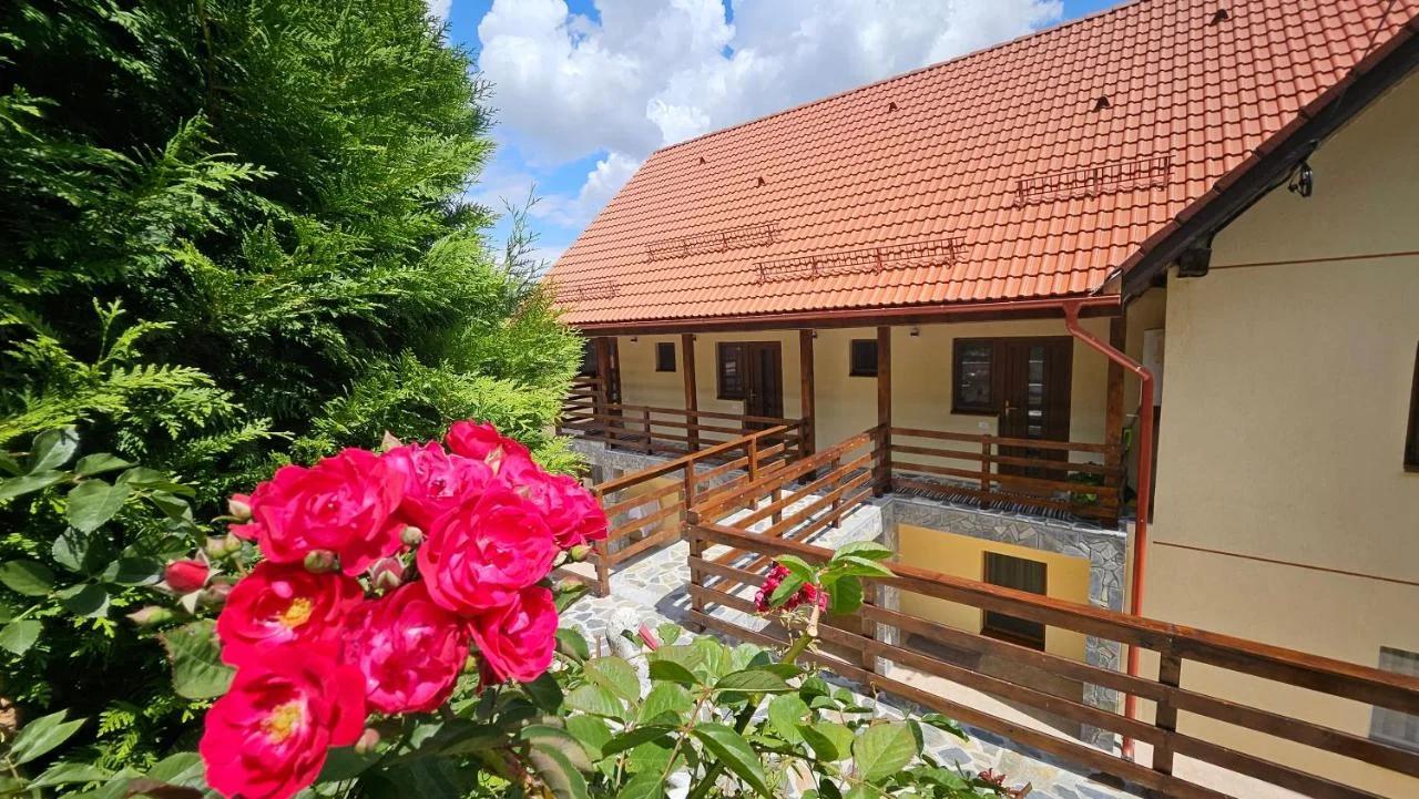 Matei Residence