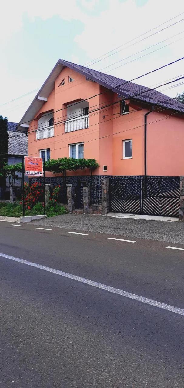 Pensiunea Anca foto