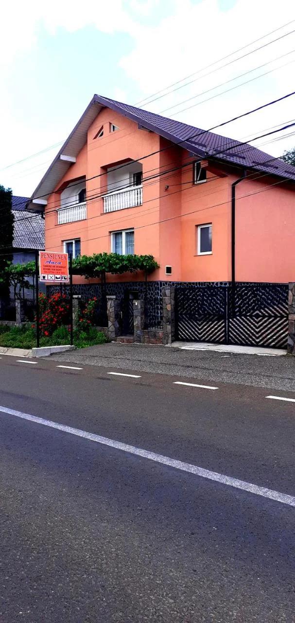 Pensiunea Anca foto