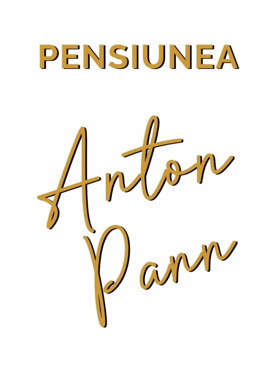 Pensiunea Anton Pann photo
