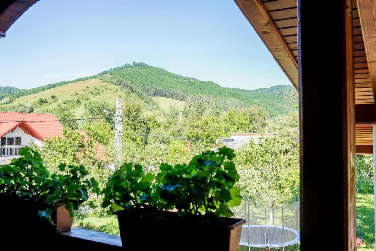 Pensiunea Casa Ancuta foto