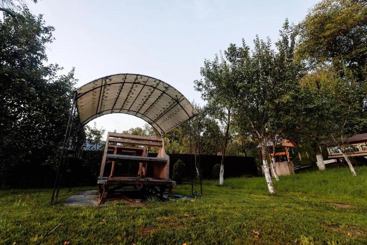 Pensiunea RAVHOUSE foto