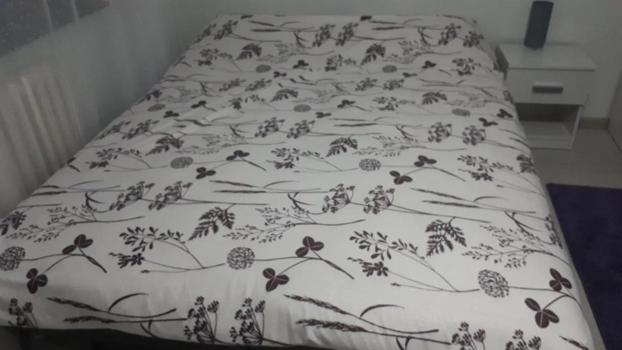 Apartman SAN photo