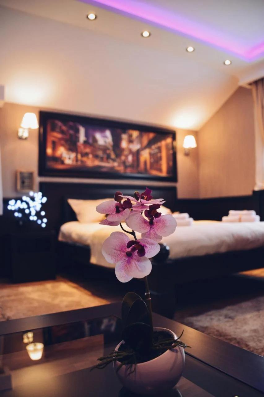 Lux apartmani Beograd photo
