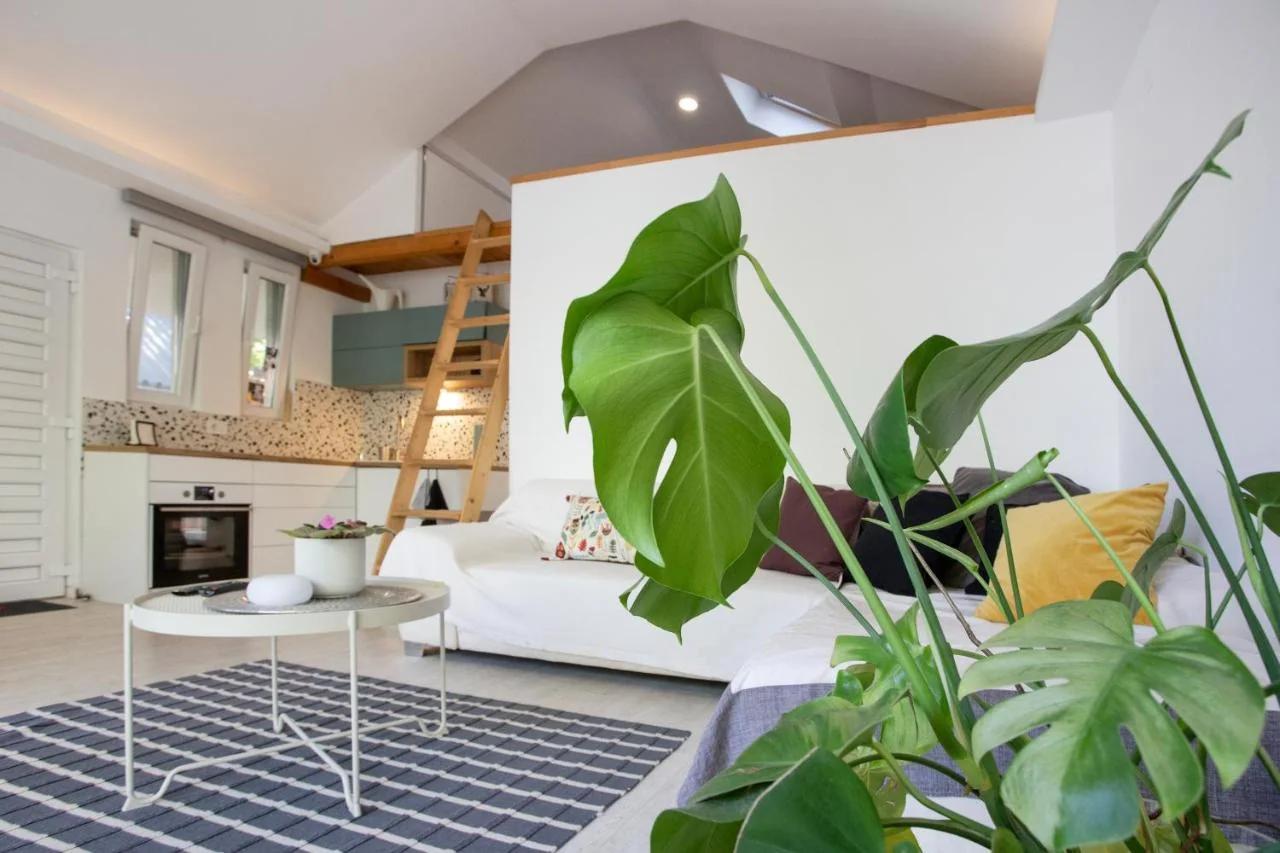 River house Grana photo