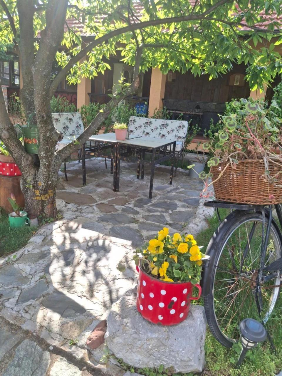 Seosko turističko domacinstvo Imunsan photo
