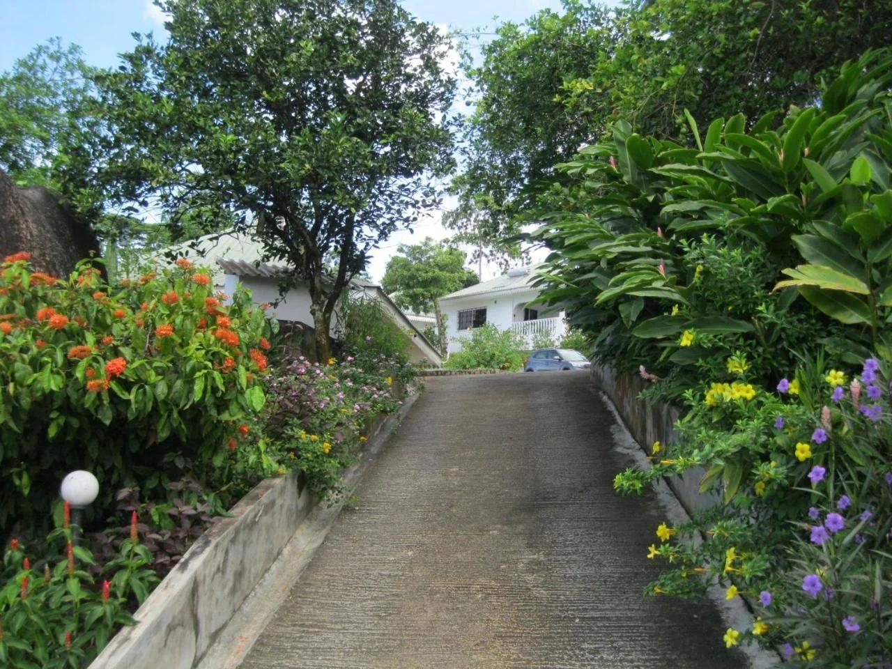 Chepsted Chalets photo