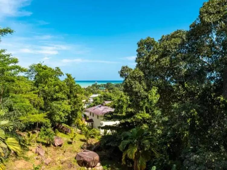 RIVERSIDE RETREAT (SEYCHELLES) photo