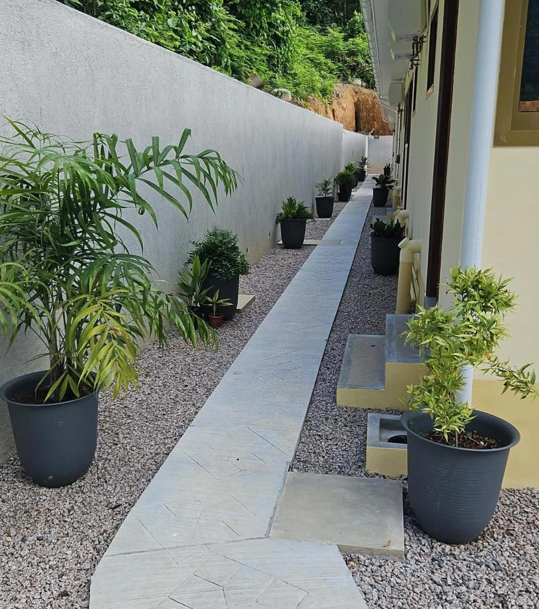Solea Self Catering photo