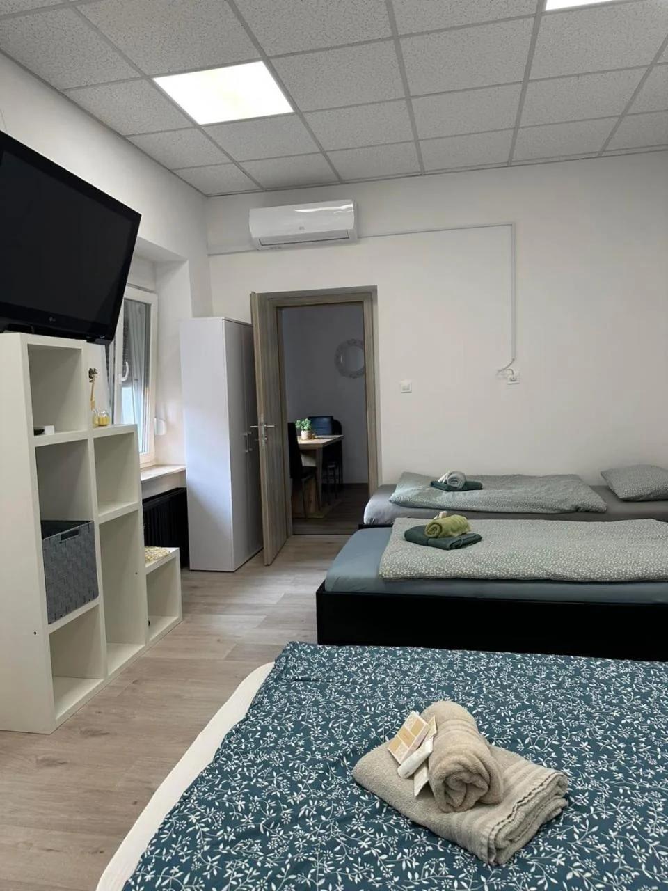 Apartma Center Ljutomer photo