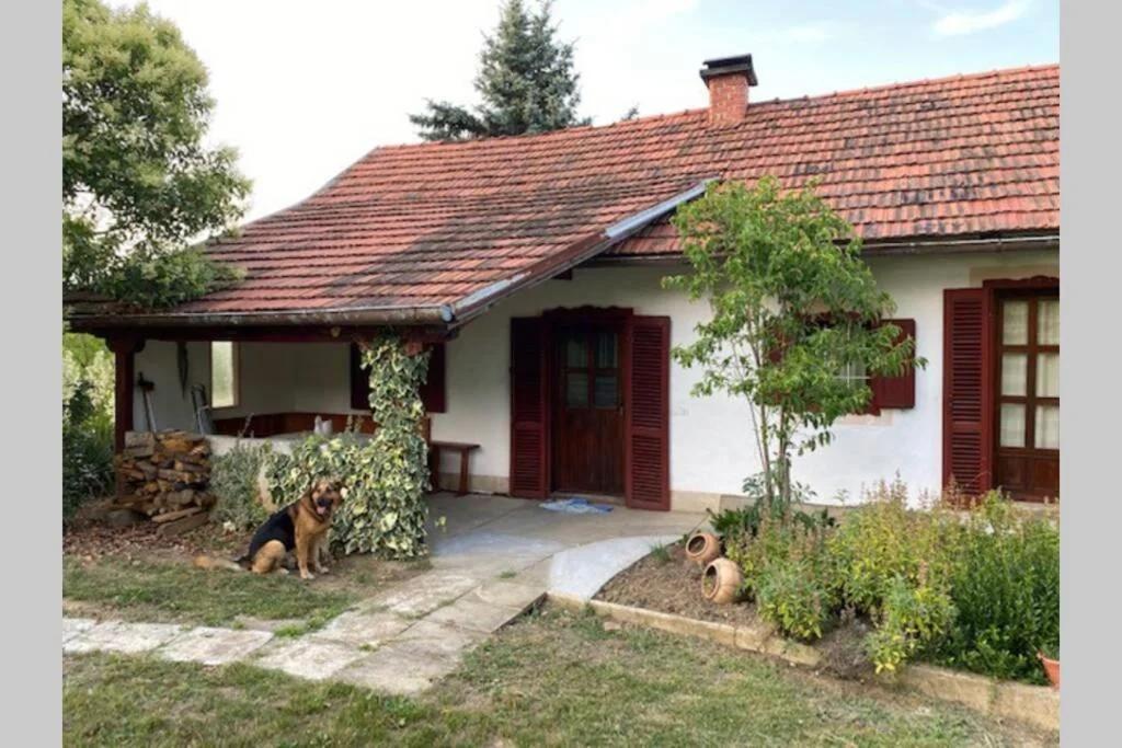 Oaza miru v sožitju z naravo foto