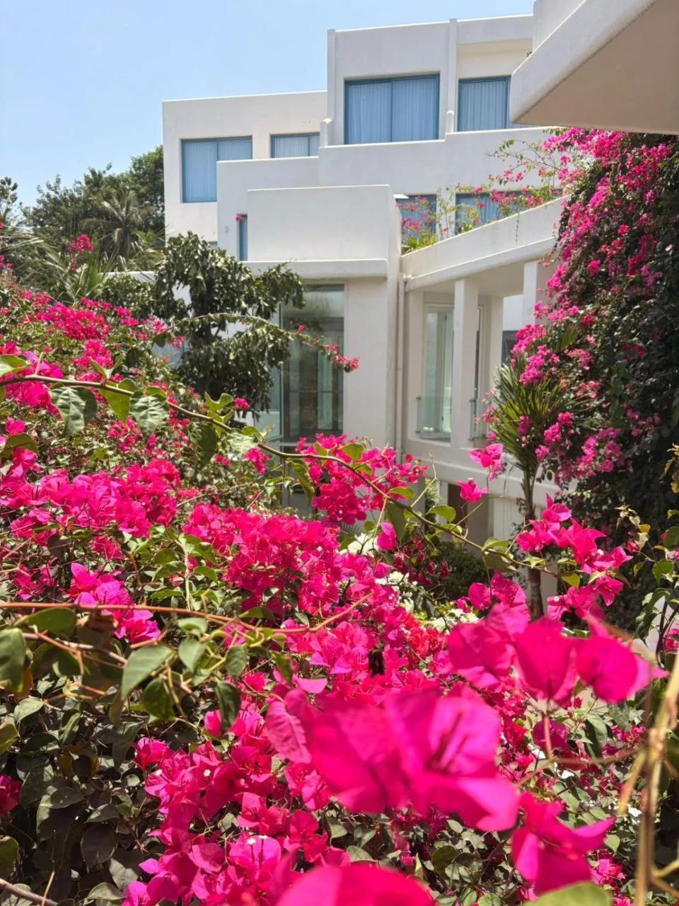 The Lead Hotel photo