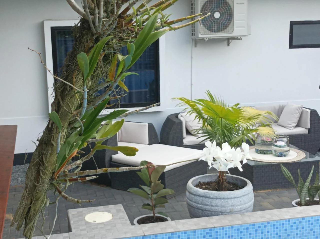 Tropical appartement foto