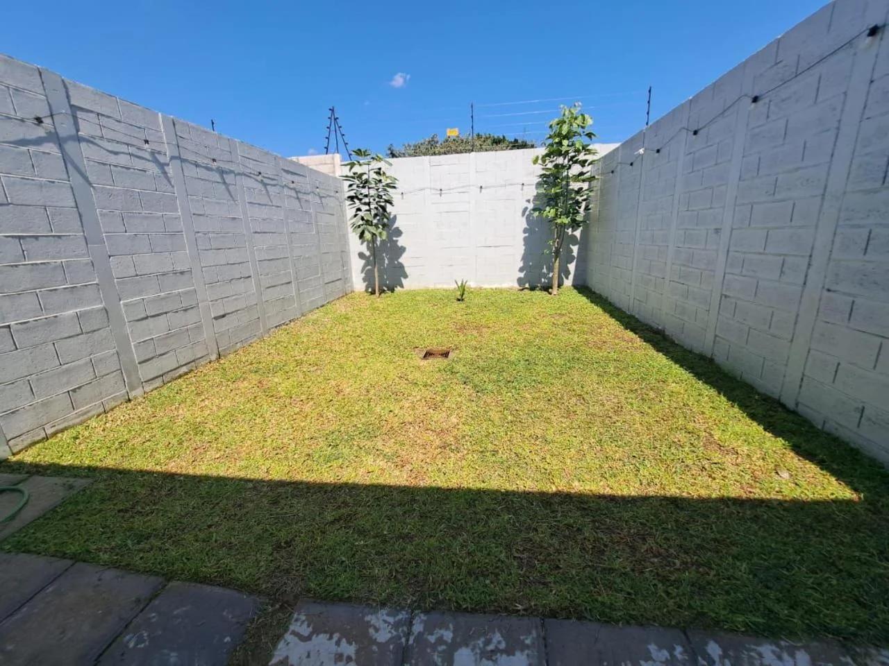 The terrazzo house photo