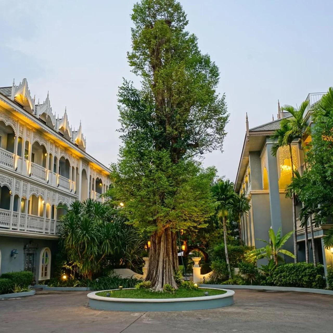 At Pingnakorn Riverside photo