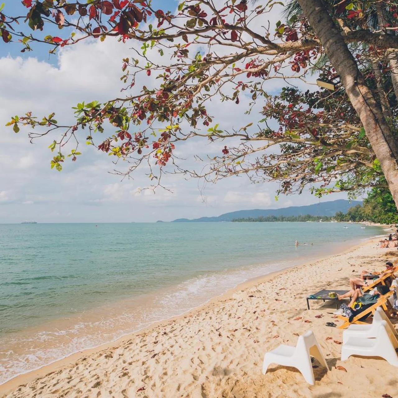 Chill Inn Lipa Noi Hostel and Beach Cafe