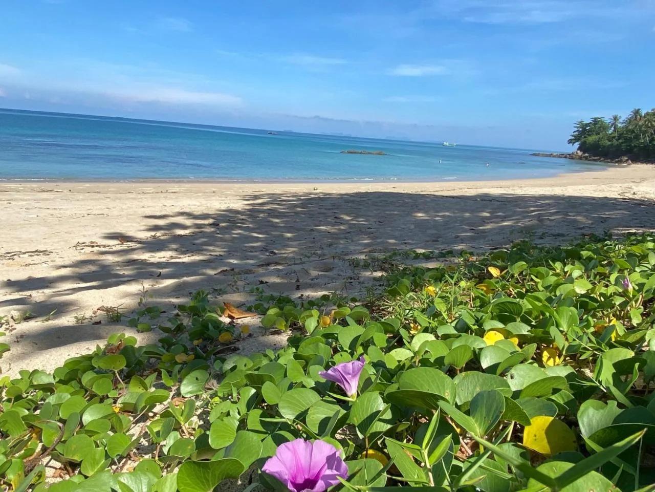 Lanta Palace Beach Resort & Spa - Adult Only photo