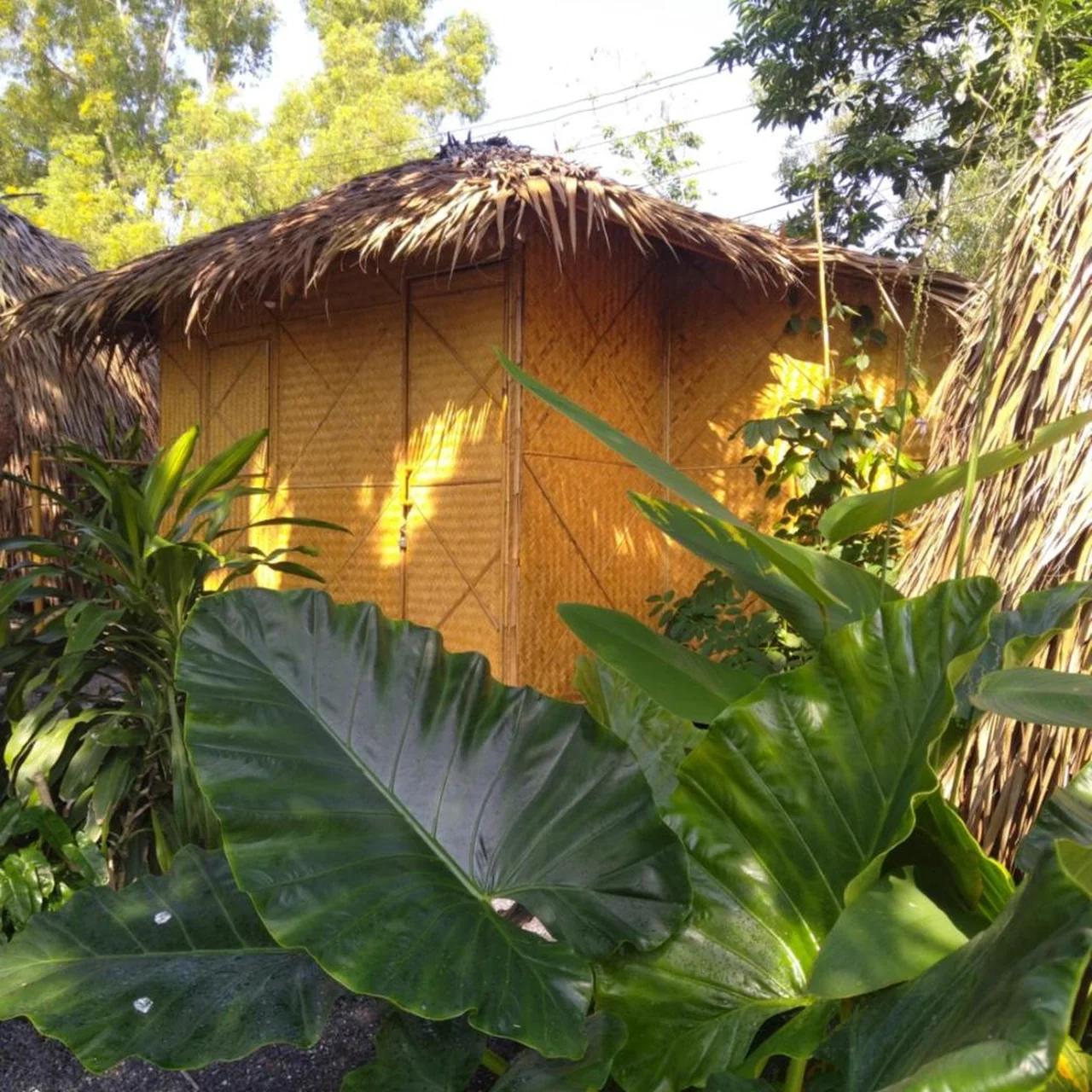 Samui Circus Studio Ville Deluxe Hut Bungalow 1