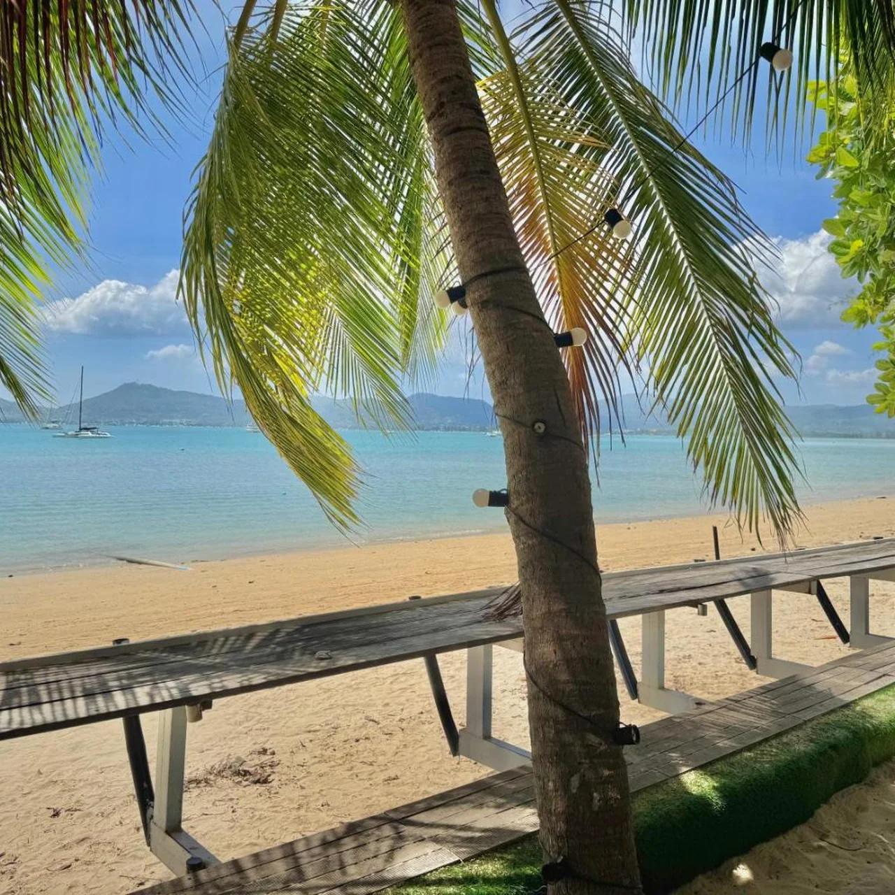 Sea Dreamer Beachfront Apartments photo