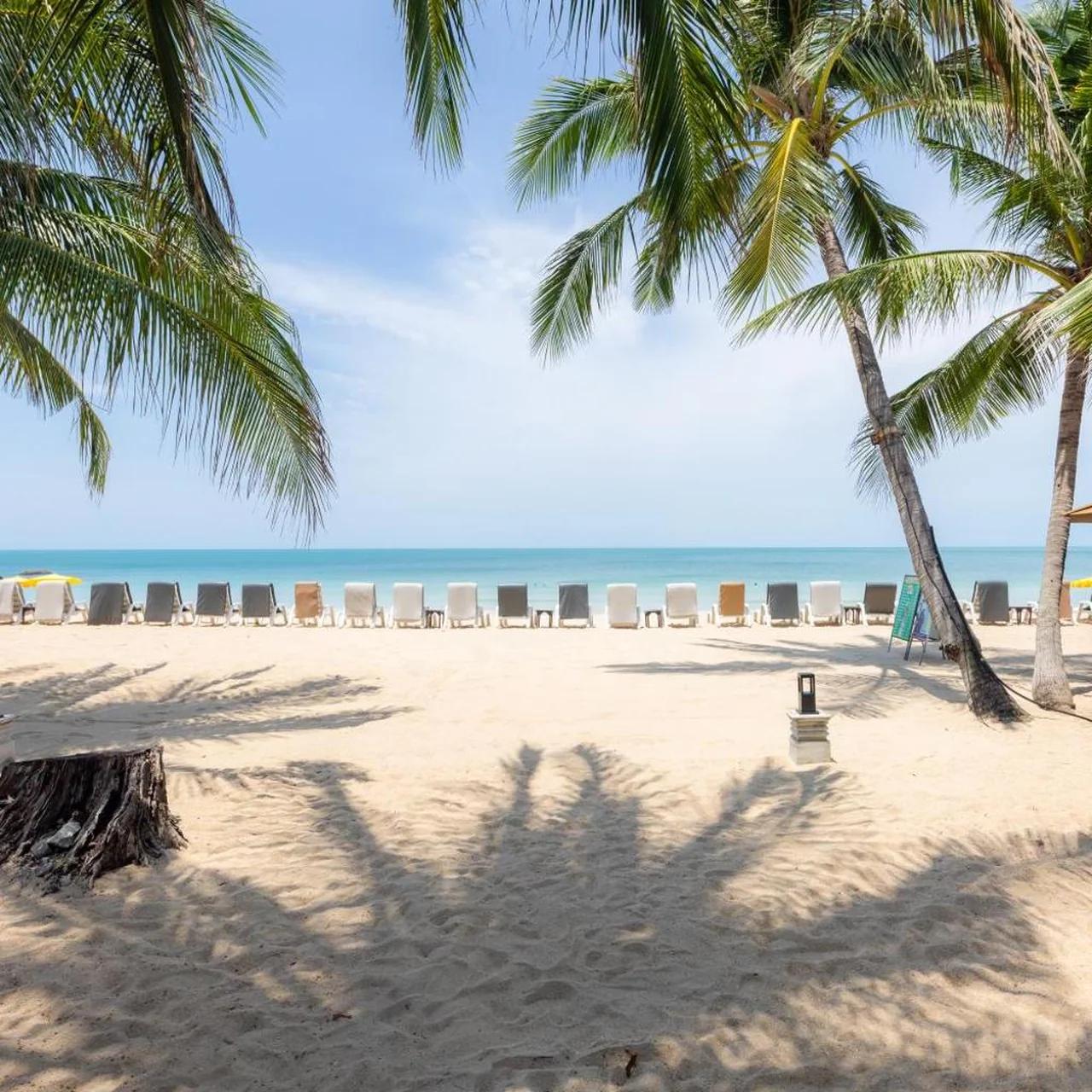 The Fair House Beach Resort & Hotel photo