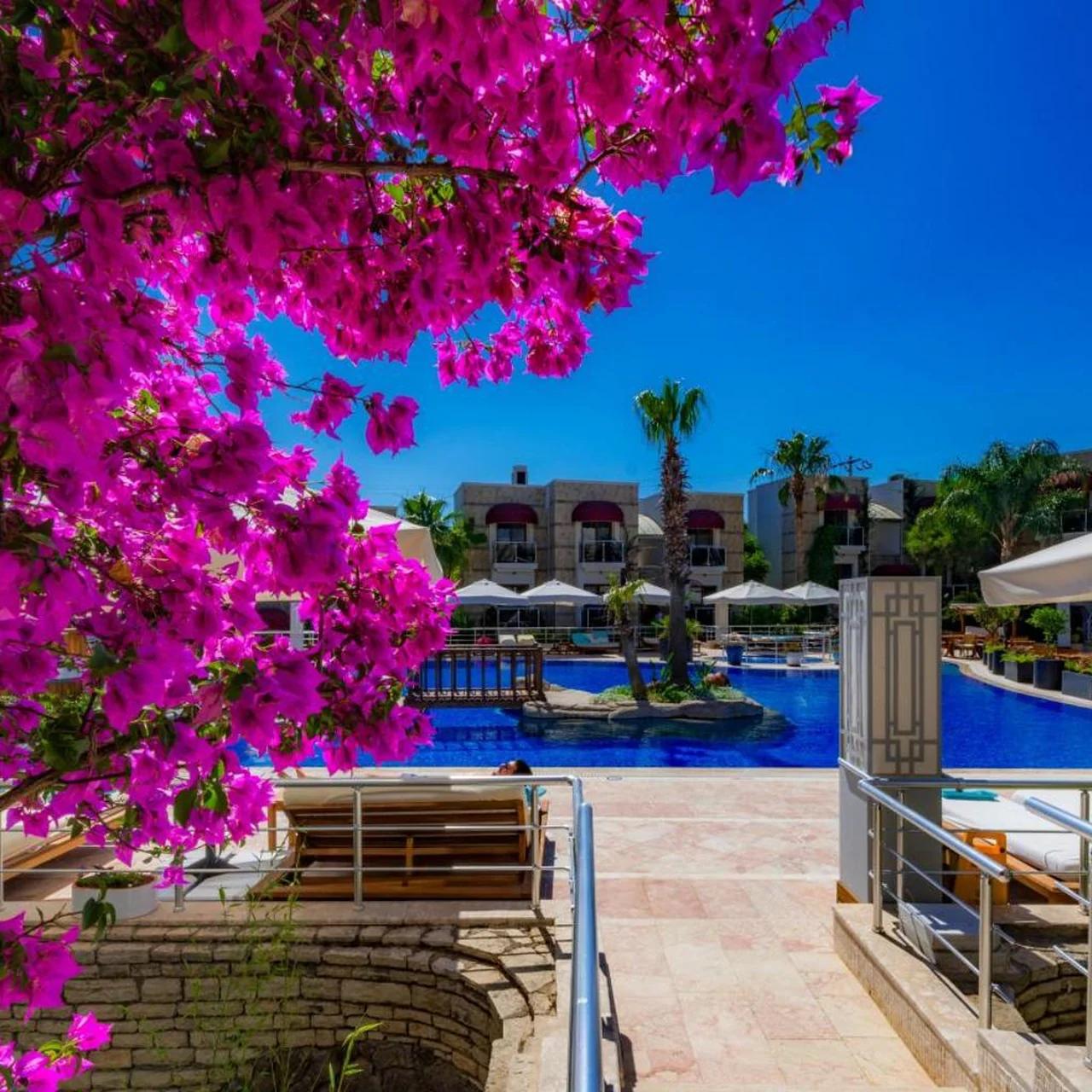 Bodrium Hotel & Spa - City Center photo