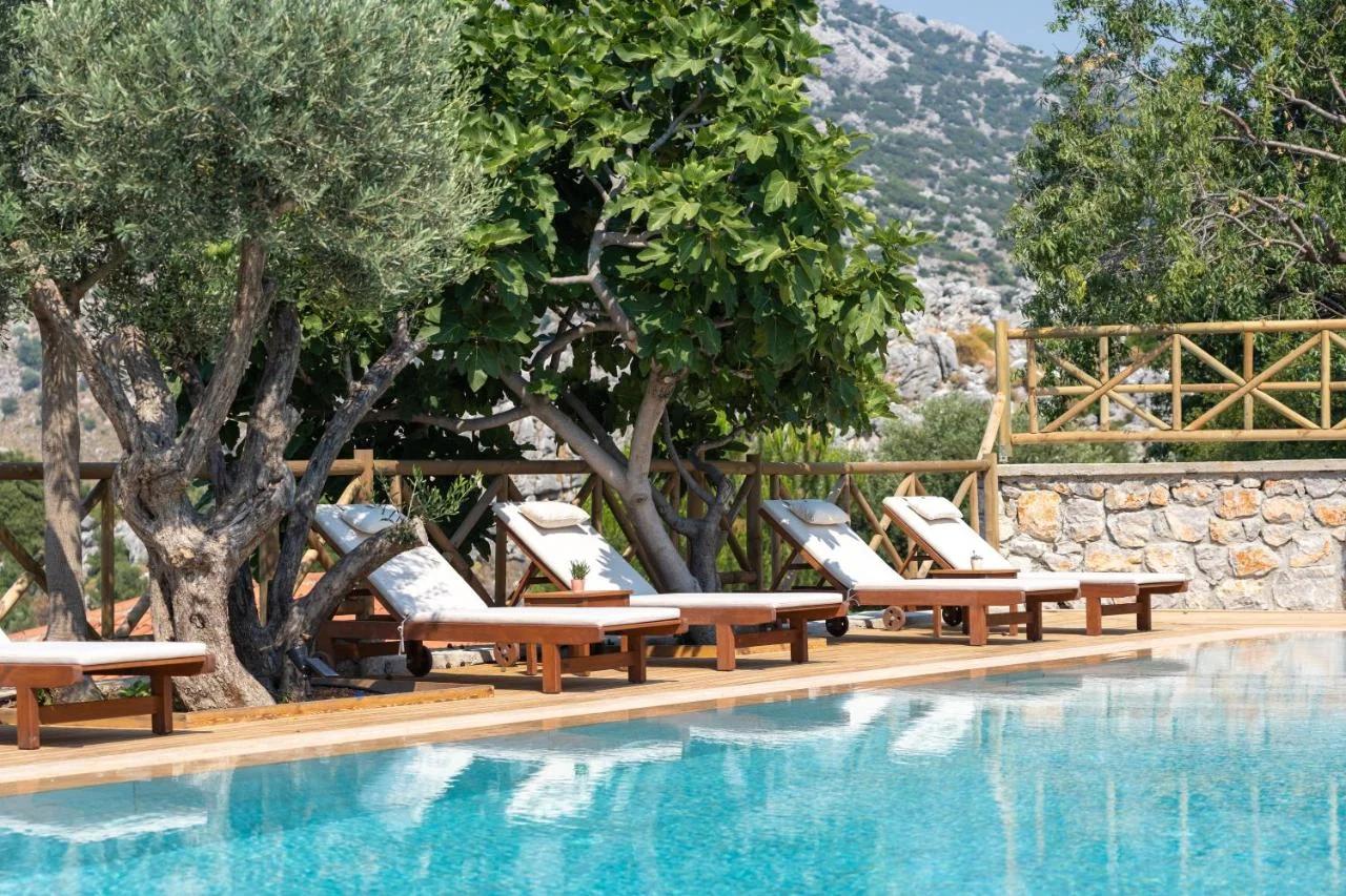 Boho Garden Selimiye photo