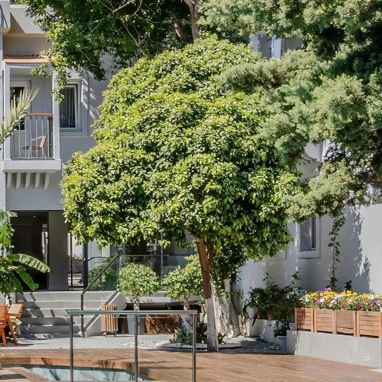 Hotel Centro Bodrum photo