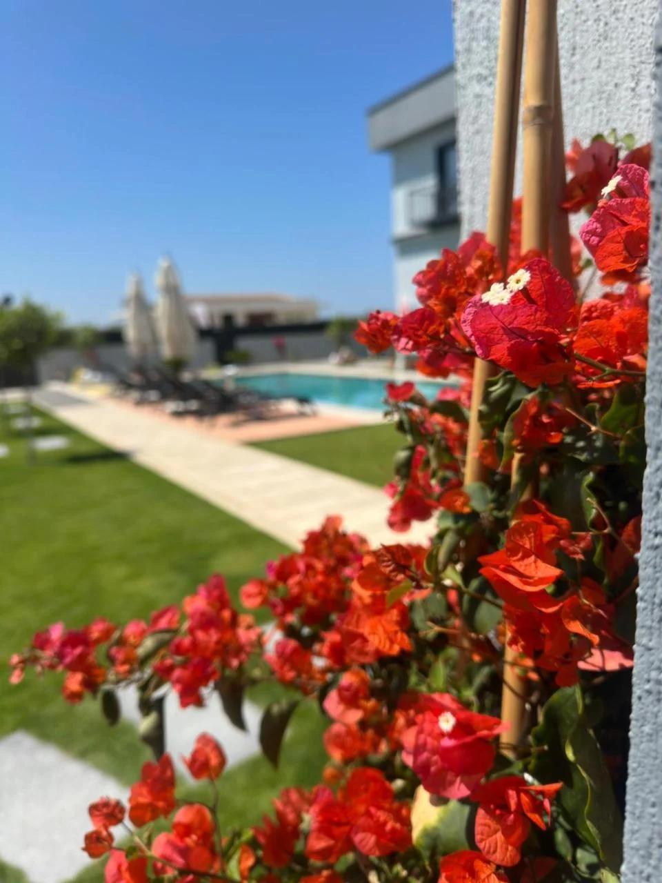 Çeşme Güzel Life foto