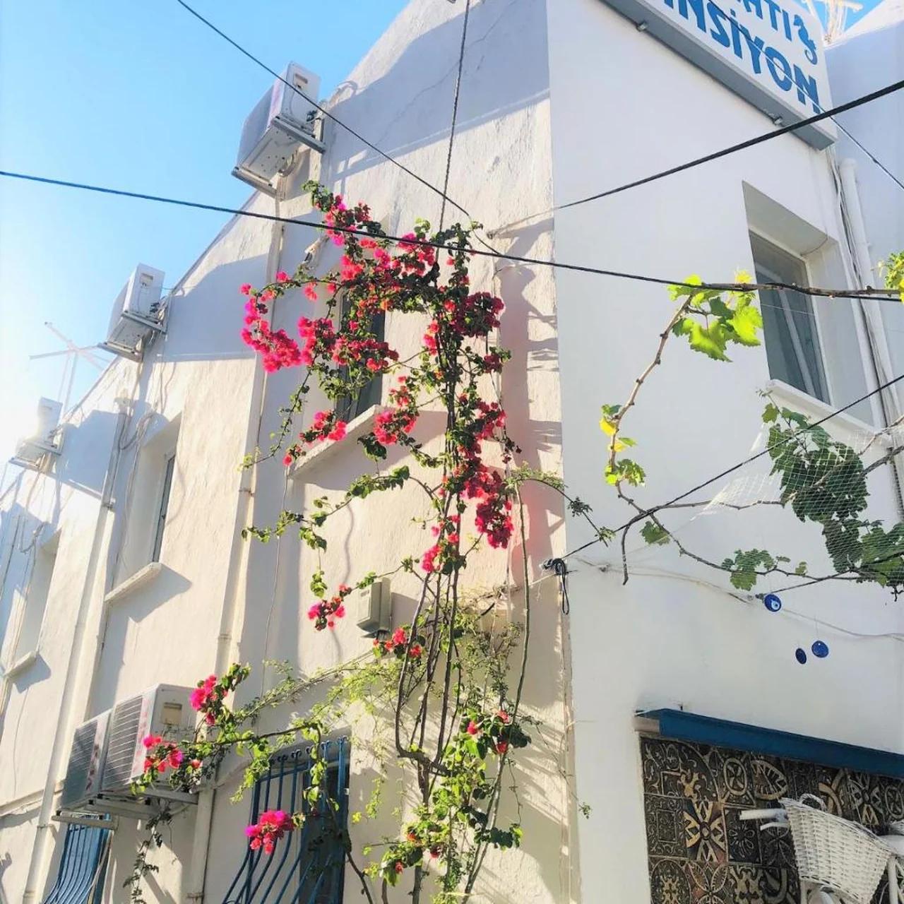 Denizati Pension photo