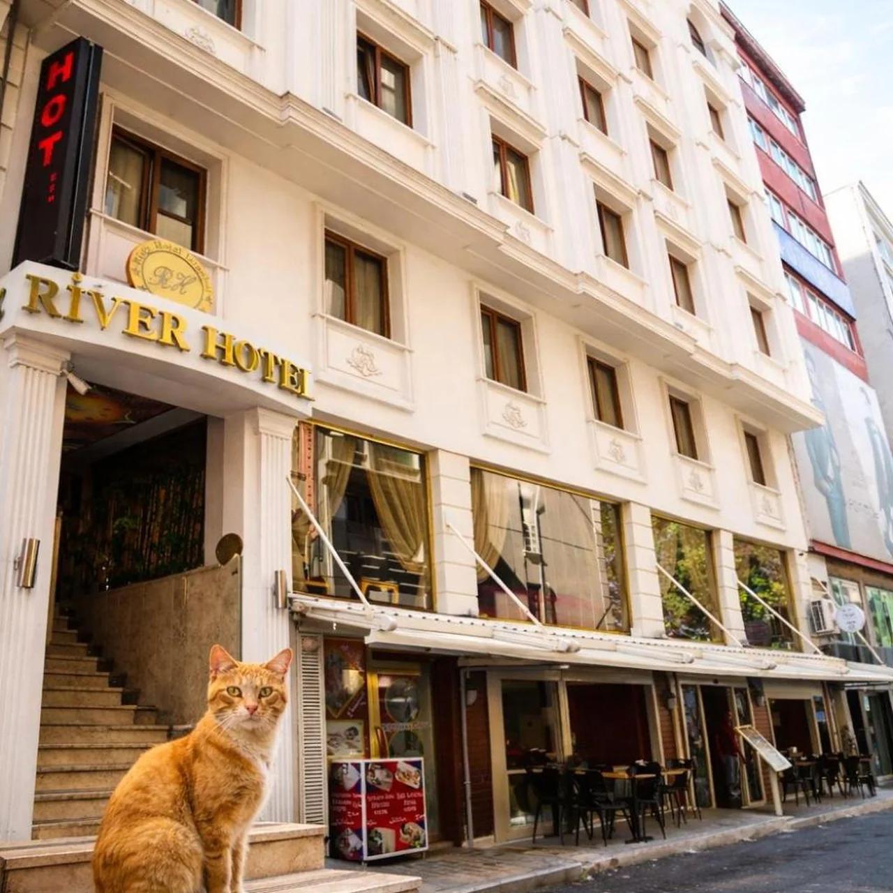 Istanbul River Hotel photo