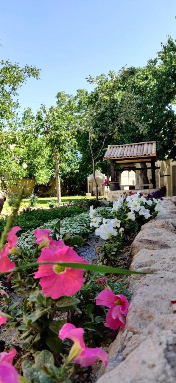 Sarnich Cave Suites photo