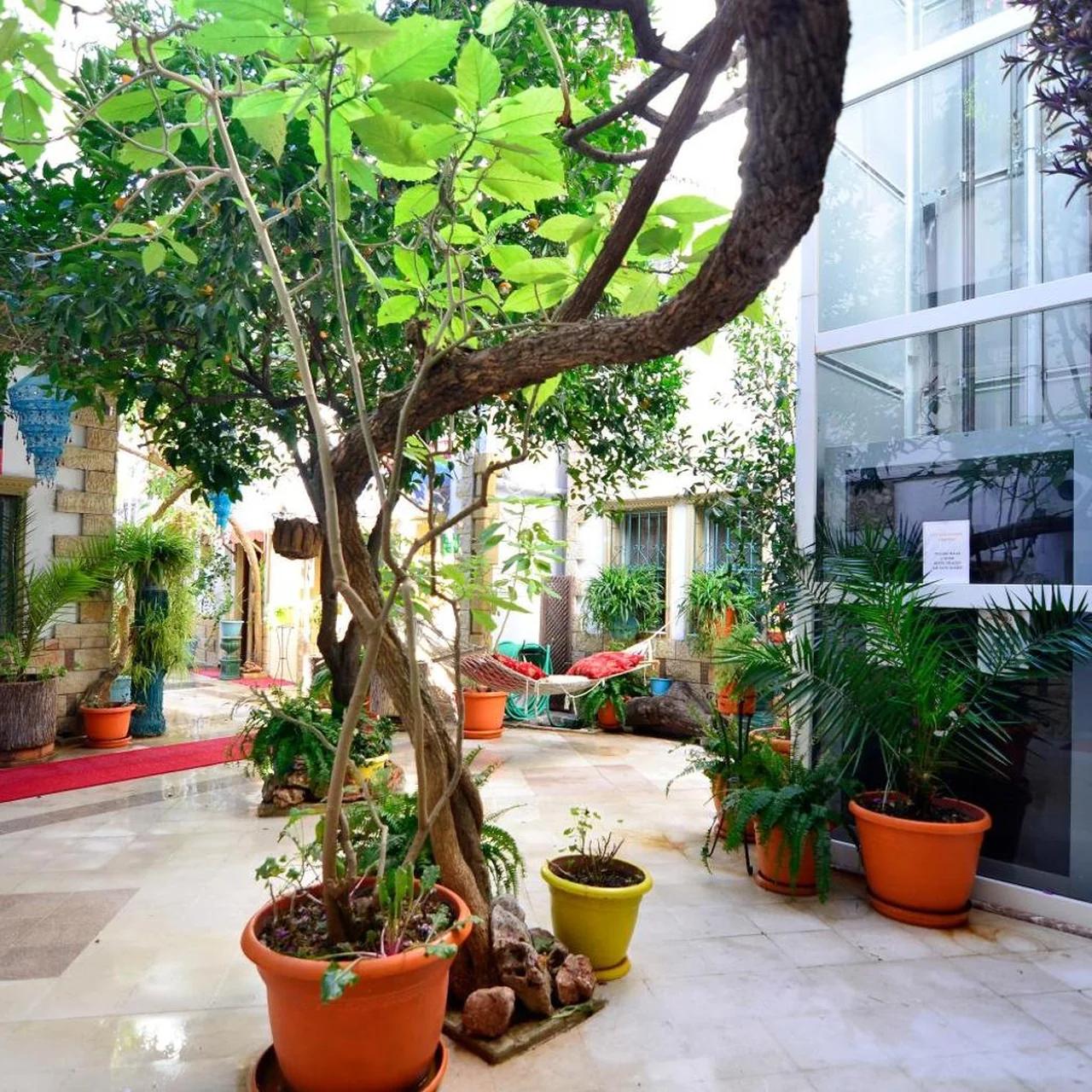 Sevin Hotel Pension foto