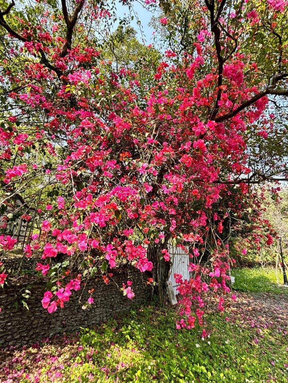 Brookburg photo