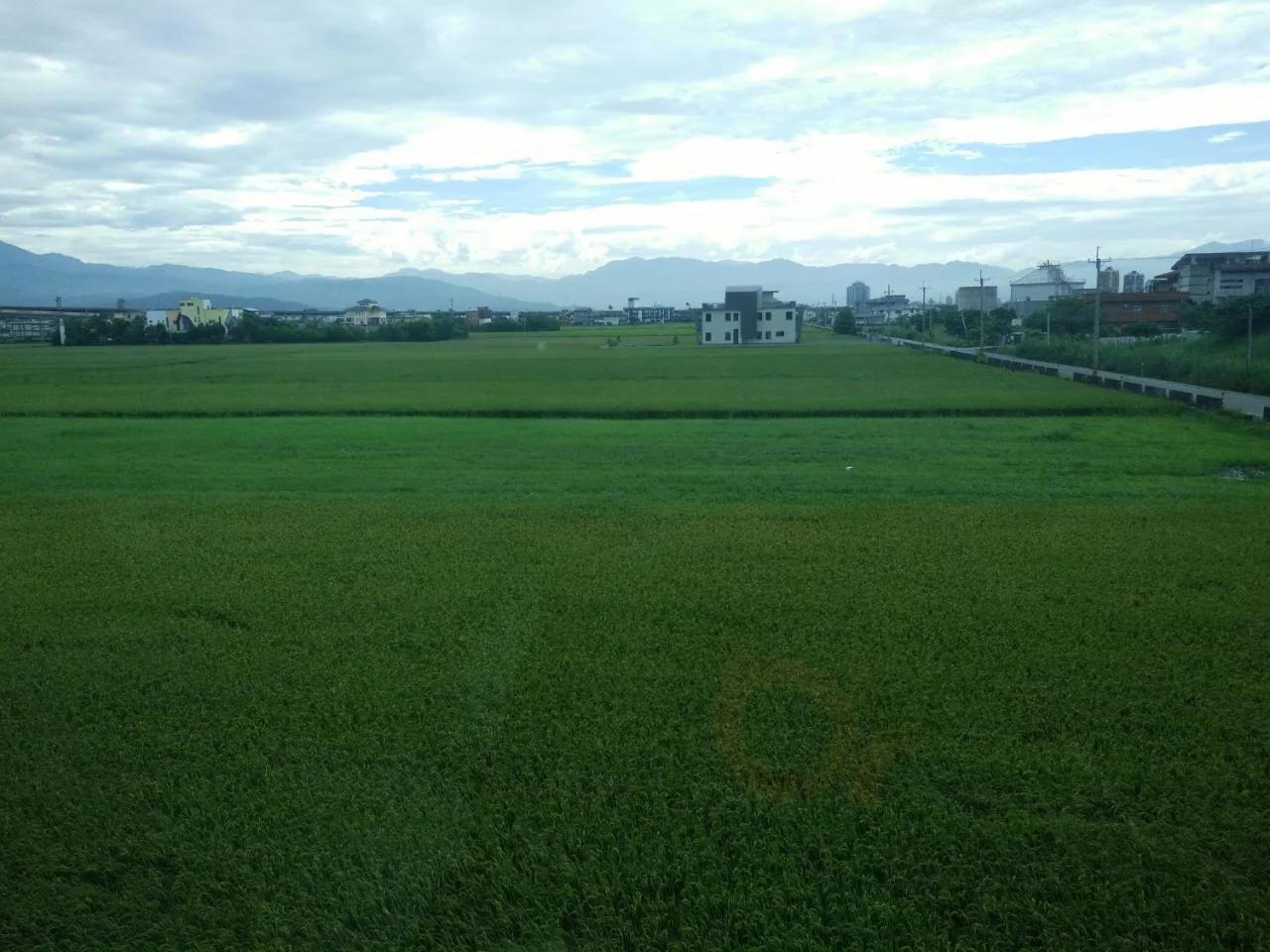Dongshan Free Garden foto