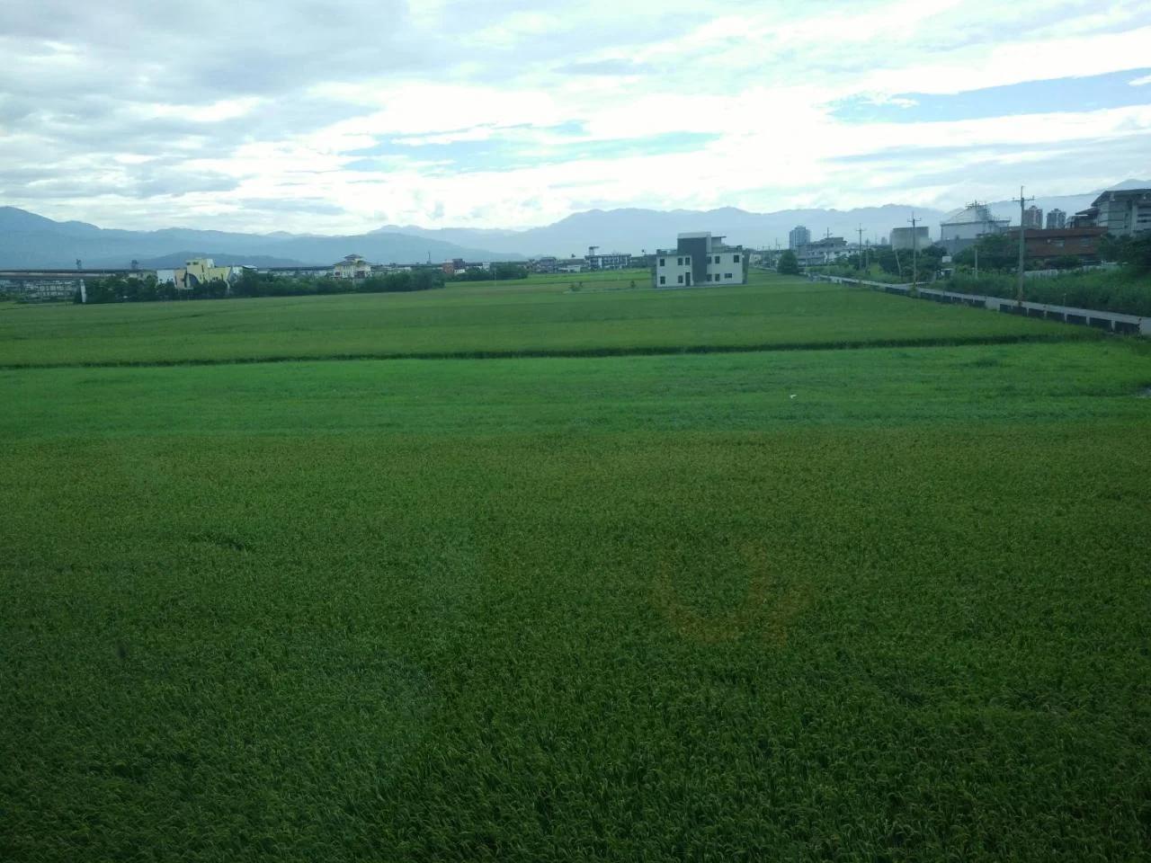 Dongshan Free Garden foto