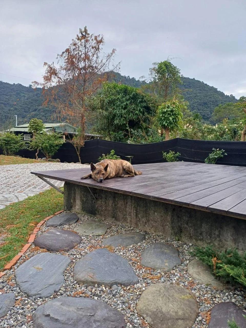 Q寶の家 home Sweet home photo