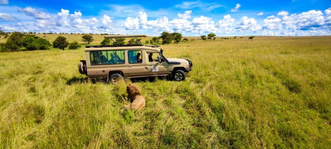 Manya Luxury Camp photo