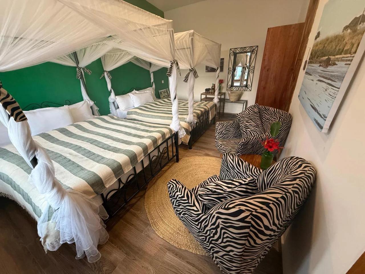 Moyoni Africa Lodge & Tours photo