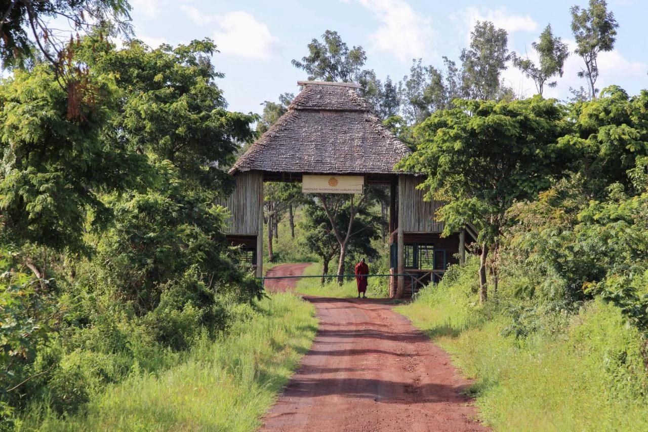 Neptune Ngorongoro Luxury Lodge - All Inclusive foto