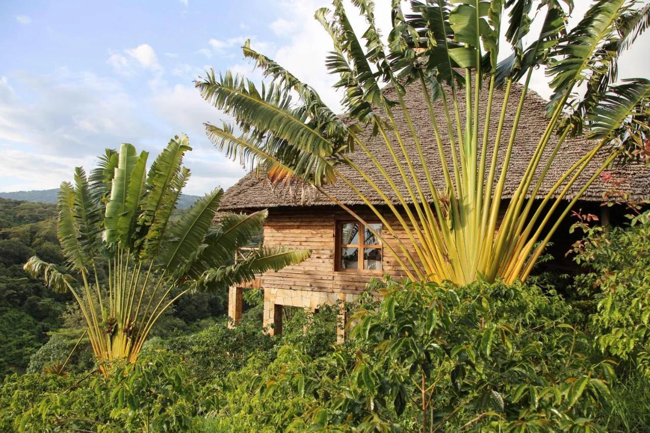 Neptune Ngorongoro Luxury Lodge - All Inclusive foto
