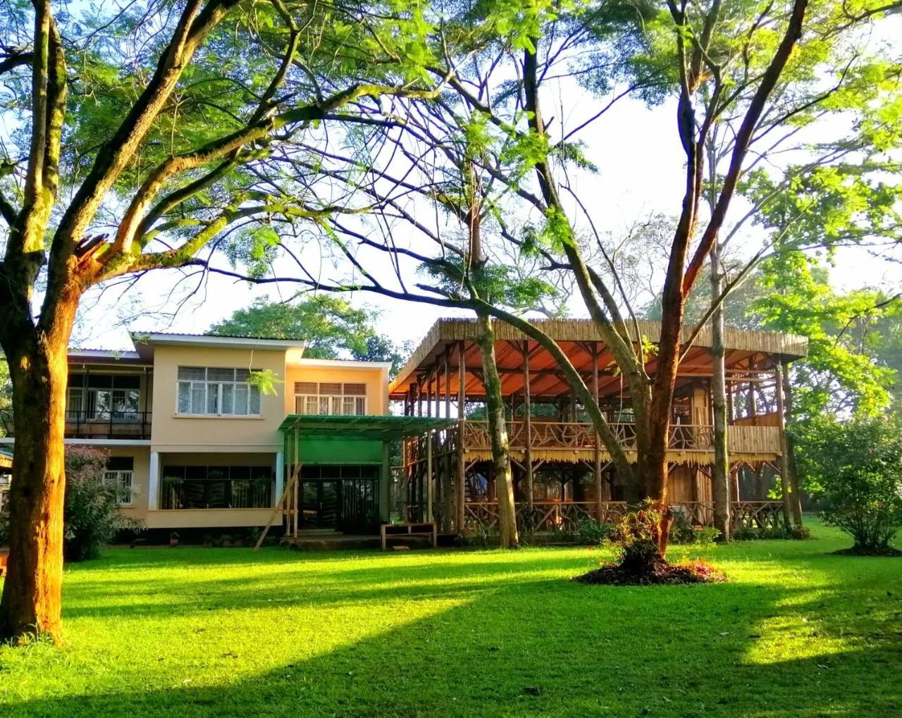 Jinja Backpackers foto
