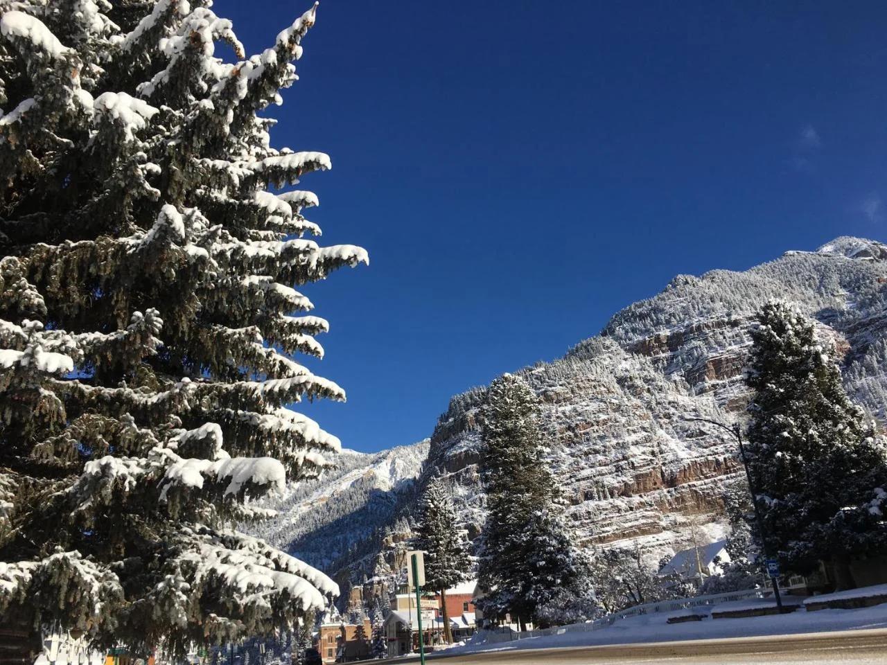 The Ouray Main Street Inn photo
