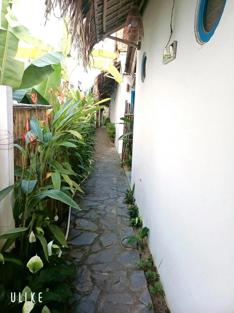 Cashew Tree Bungalow photo
