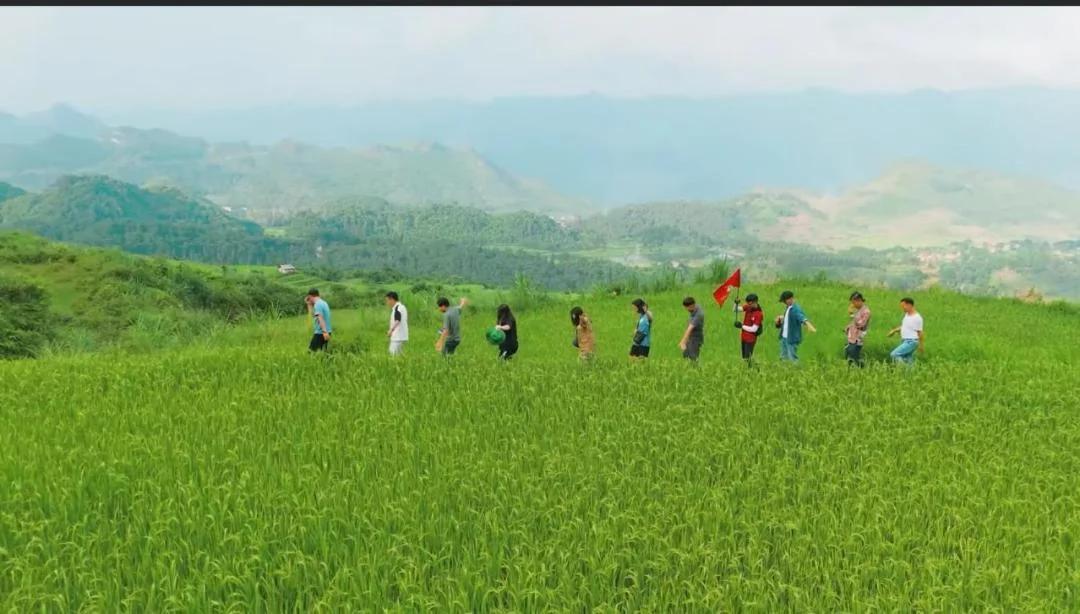 Cổng Trời Homestay photo