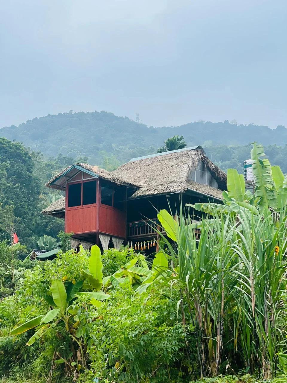 Ha Giang Uphill Coffee Farmstay