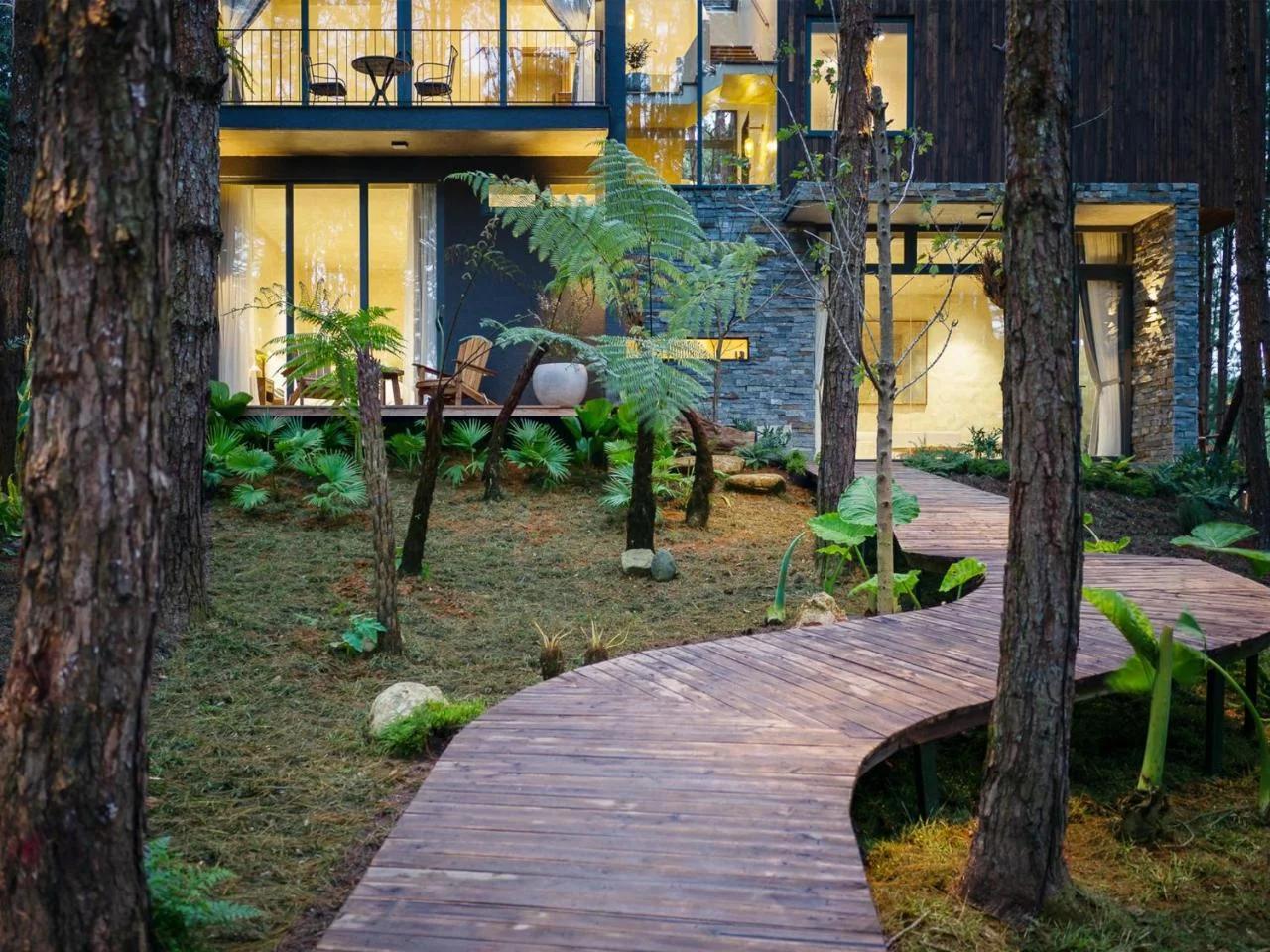 Mơ Stay - Forest Resort photo