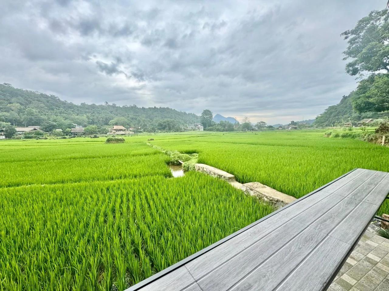 Mr Win homestay photo