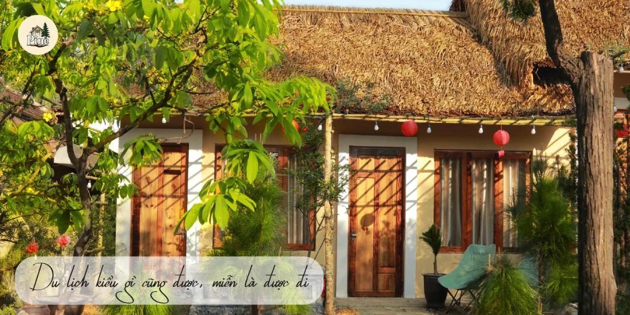 Pine Garden Homestay - Nhà trong vườn photo